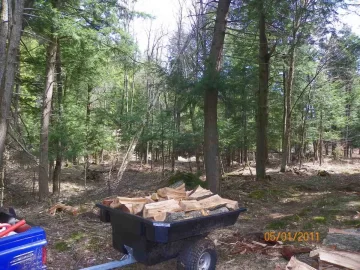 [Hearth.com] Cherry Hauled out & Stacked