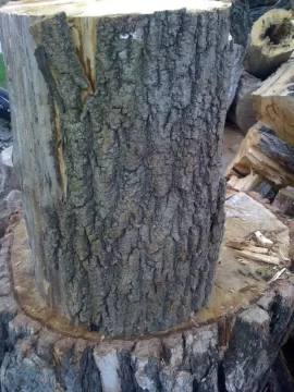 [Hearth.com] ASH ?  Wood ID please
