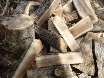[Hearth.com] 2 Hrs cutting and splitting now with pics