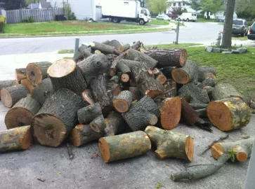 [Hearth.com] Tree service score and ID please