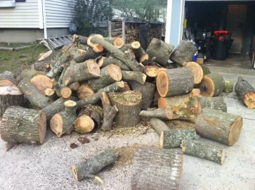 [Hearth.com] Tree service score and ID please