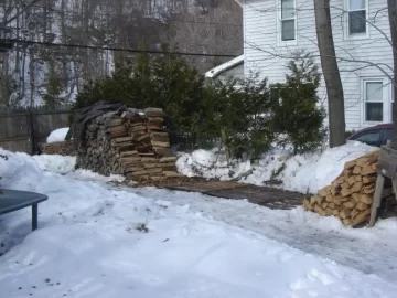 [Hearth.com] Opinion on Black Locust Season time
