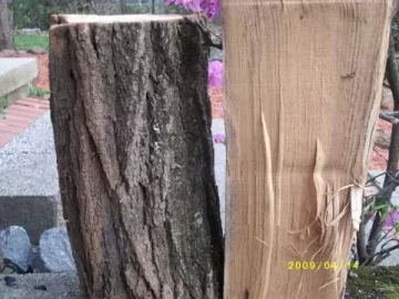 [Hearth.com] Wood Id Please?  Better Picture.