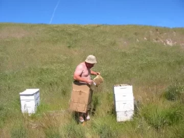 [Hearth.com] Anyone else have bees?