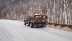 my new wood hauling truck