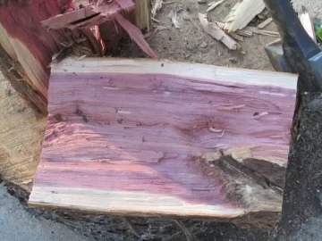 [Hearth.com] ID my scrounge?