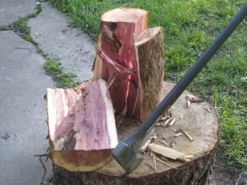 [Hearth.com] ID my scrounge?