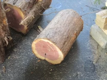 [Hearth.com] ID my scrounge?