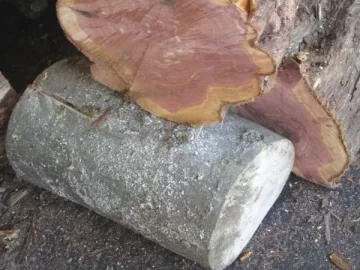[Hearth.com] ID my scrounge?