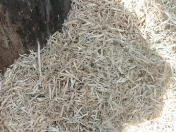 [Hearth.com] Can you share a picture of the kindling you use to start a fire?