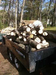 Free Firewood (Bristol_Connecticut)