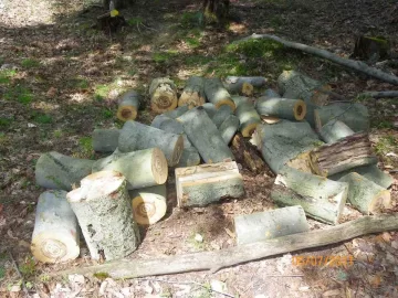 [Hearth.com] Beech off the Hill!