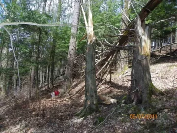 [Hearth.com] Beech off the Hill!