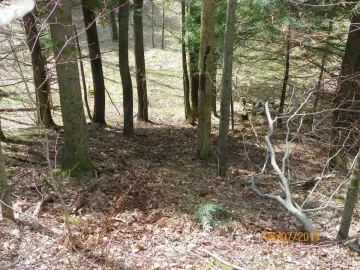 [Hearth.com] Beech off the Hill!