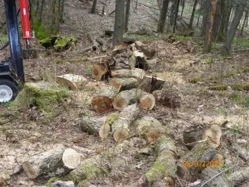 [Hearth.com] Sugar Maple Done