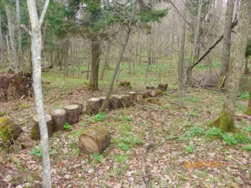 [Hearth.com] Work for Sunday