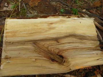 [Hearth.com] Wood I.D.