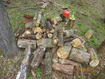 [Hearth.com] Wood I.D.