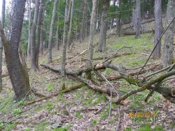 [Hearth.com] Cleaning Up the Hill