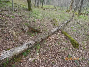 [Hearth.com] Cleaning Up the Hill