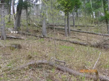 [Hearth.com] Cleaning Up the Hill