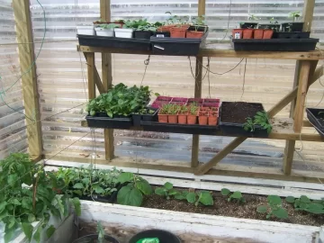[Hearth.com] Greenhouse update pics