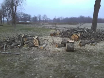 [Hearth.com] How Much Wood Do you Think? (Update With Pictures)