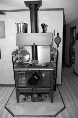 [Hearth.com] Esse Ironheart vs Margin Flameview cookstoves