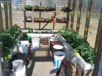 [Hearth.com] Greenhouse update pics
