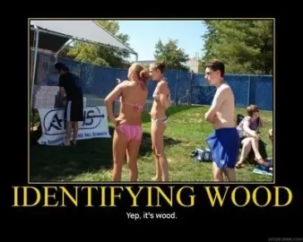 [Hearth.com] Funny Wood ID