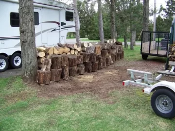 [Hearth.com] How Much Wood Do you Think? (Update With Pictures)