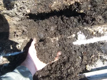 [Hearth.com] 2011 Alaska compost pictures
