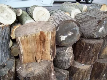 [Hearth.com] How Much Wood Do you Think? (Update With Pictures)