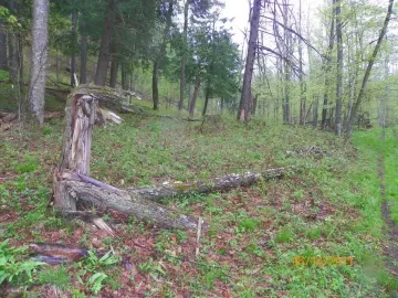 [Hearth.com] Trail Cleared & some wood brought out.