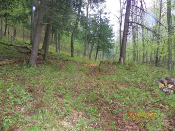 [Hearth.com] Trail Cleared & some wood brought out.