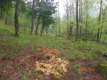 [Hearth.com] Trail Cleared & some wood brought out.