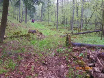 [Hearth.com] Trail Cleared & some wood brought out.