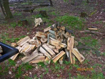 [Hearth.com] Trail Cleared & some wood brought out.