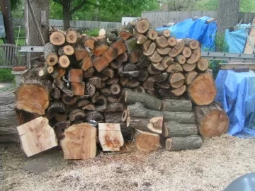[Hearth.com] I'll show you mine if you show me yours