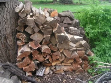 [Hearth.com] I'll show you mine if you show me yours