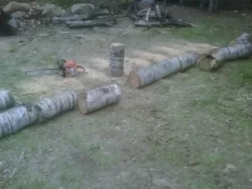 [Hearth.com] A little bit of cutting fun today.....