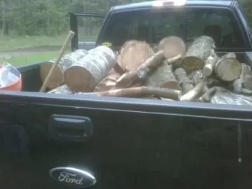[Hearth.com] A little bit of cutting fun today.....