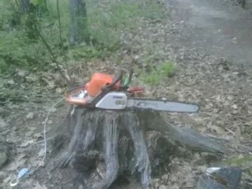 [Hearth.com] A little bit of cutting fun today.....