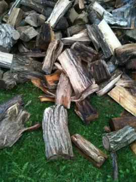 [Hearth.com] First Delivery of Wood