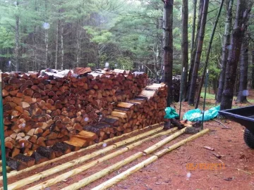 [Hearth.com] Noah said build me a Ark!