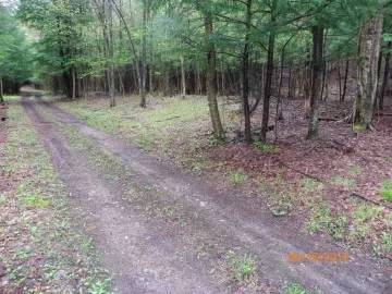 [Hearth.com] She is Rolling Hard