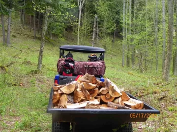 [Hearth.com] Cherry out and Up!