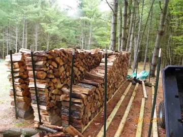 [Hearth.com] Cherry out and Up!