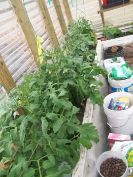 [Hearth.com] Greenhouse update pics