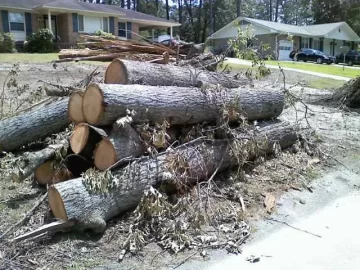[Hearth.com] Free wood